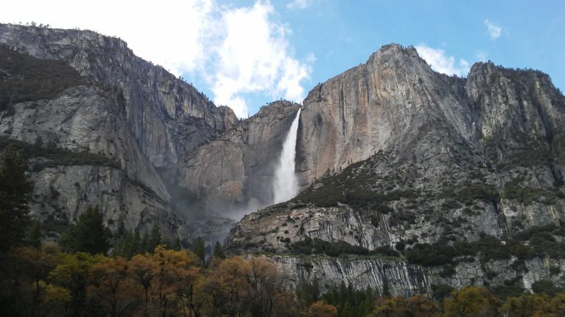 Yosemite National Forest, California